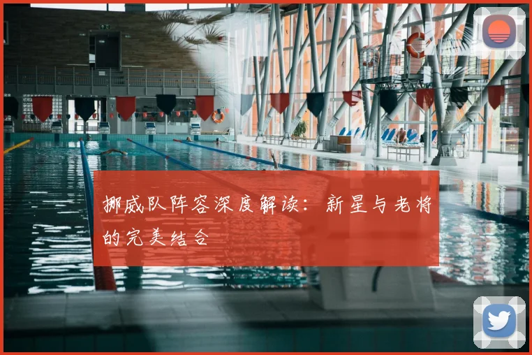 挪威队阵容深度解读：新星与老将的完美结合