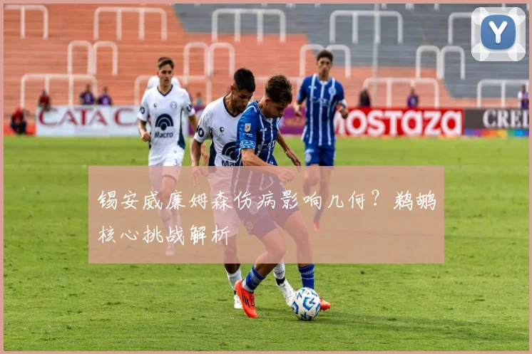锡安威廉姆森伤病影响几何？鹈鹕核心挑战解析
