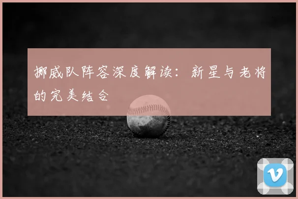 挪威队阵容深度解读：新星与老将的完美结合