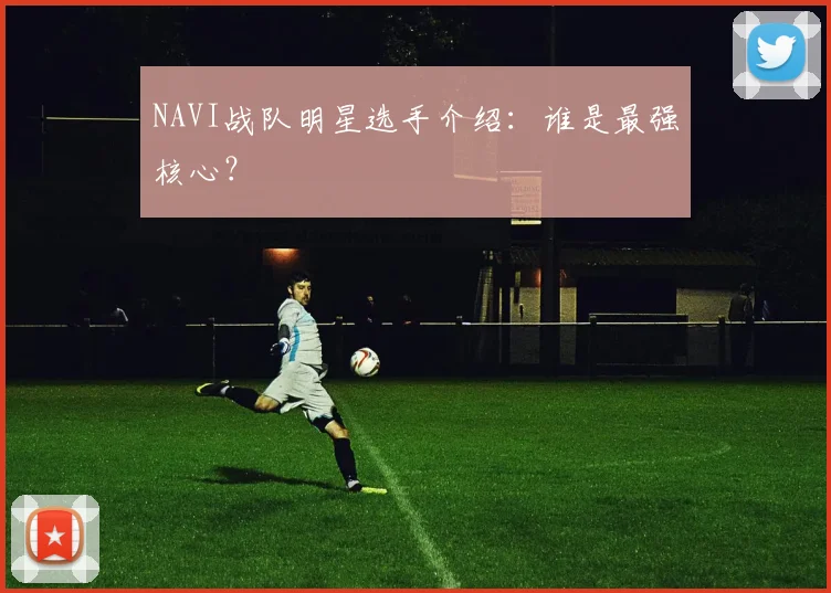 NAVI战队明星选手介绍：谁是最强核心？